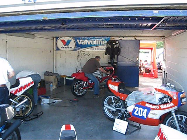 mvi_7019.jpg