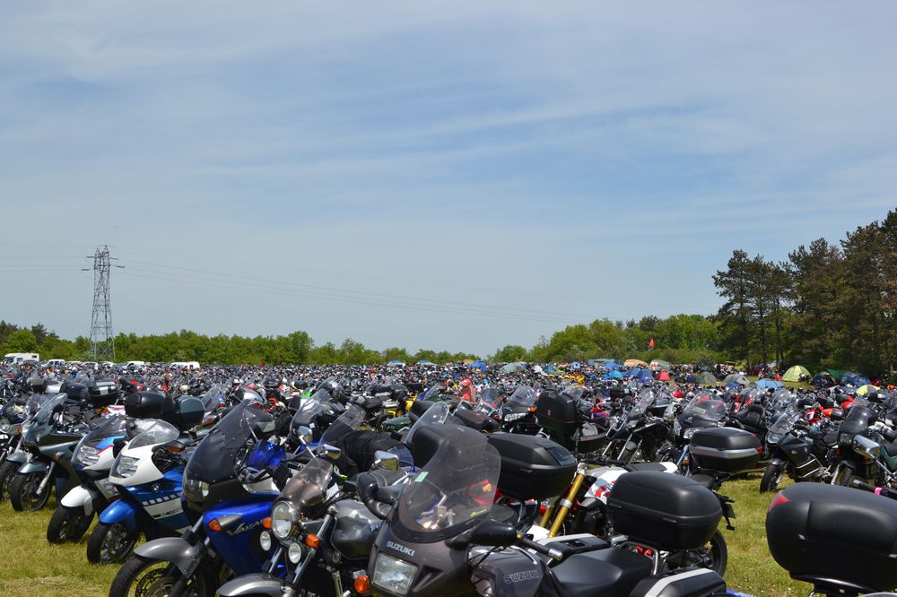 dsc_0130.jpg
