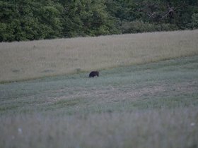 DSC_0015